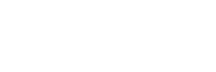 nexign_logo